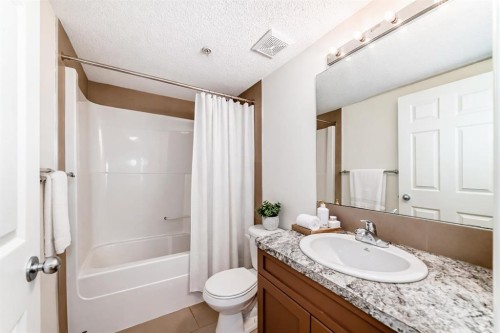 4305-115 Prestwick Villas Se, Calgary, AB - Indoor Photo Showing Bathroom