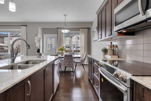 175 Brightoncrest Point Se, Calgary, AB - Indoor Photo Showing Kitchen With Double Sink With Upgraded Kitchen