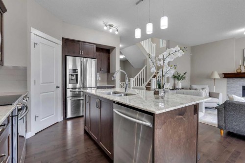 175 Brightoncrest Point Se, Calgary, AB - Indoor Photo Showing Kitchen With Double Sink With Upgraded Kitchen