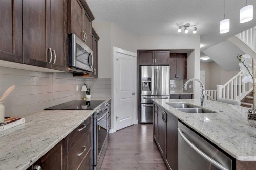 175 Brightoncrest Point Se, Calgary, AB - Indoor Photo Showing Kitchen With Double Sink With Upgraded Kitchen