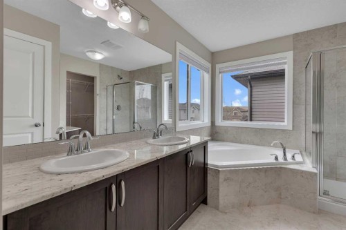 175 Brightoncrest Point Se, Calgary, AB - Indoor Photo Showing Bathroom