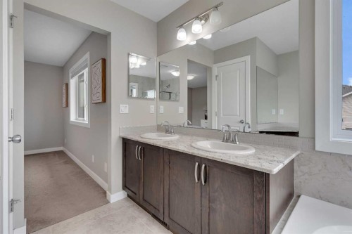 175 Brightoncrest Point Se, Calgary, AB - Indoor Photo Showing Bathroom