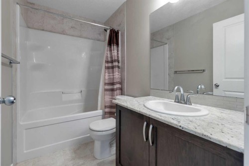 175 Brightoncrest Point Se, Calgary, AB - Indoor Photo Showing Bathroom
