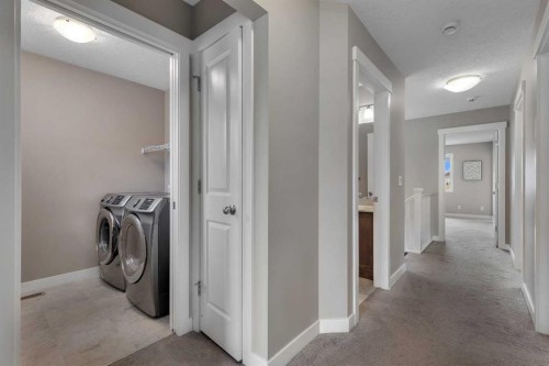 175 Brightoncrest Point Se, Calgary, AB - Indoor Photo Showing Laundry Room