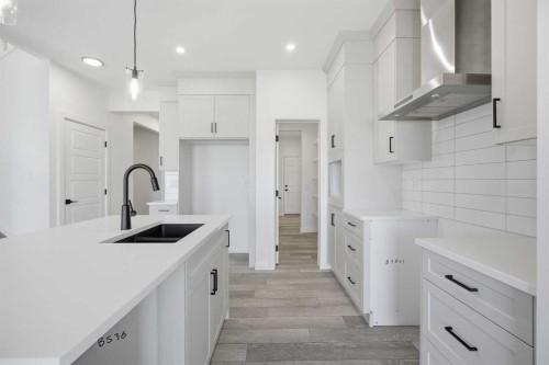 260 Dawson Wharf Crescent, Chestermere, AB - Indoor Photo Showing Kitchen With Double Sink With Upgraded Kitchen