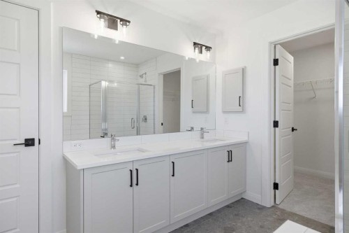 260 Dawson Wharf Crescent, Chestermere, AB - Indoor Photo Showing Bathroom