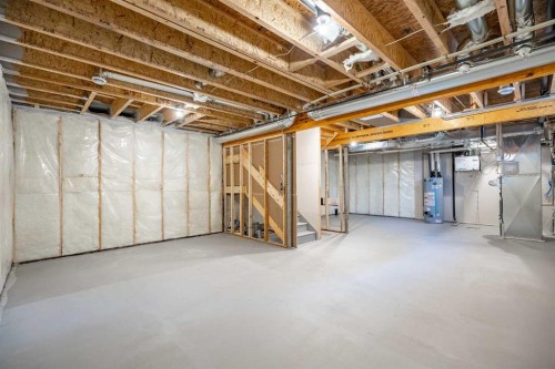 260 Dawson Wharf Crescent, Chestermere, AB - Indoor Photo Showing Basement