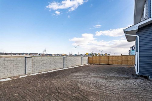 260 Dawson Wharf Crescent, Chestermere, AB - Outdoor