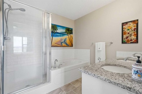 225 Fireside Drive, Cochrane, AB - Indoor Photo Showing Bathroom