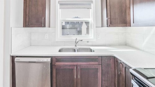567 Cornerstone Avenue Ne, Calgary, AB - Indoor Photo Showing Kitchen With Double Sink