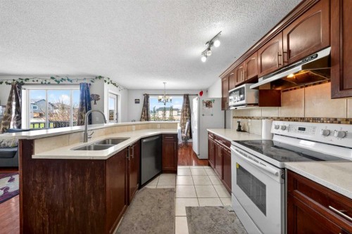 110 Martha'S Haven Green Ne, Calgary, AB - Indoor Photo Showing Kitchen With Double Sink