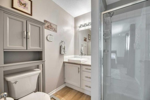 389 Strathford Crescent, Strathmore, AB - Indoor Photo Showing Bathroom