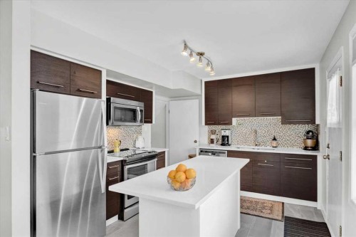 674 Regal Park Ne, Calgary, AB - Indoor Photo Showing Kitchen With Upgraded Kitchen