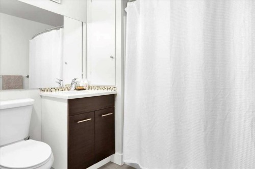 674 Regal Park Ne, Calgary, AB - Indoor Photo Showing Bathroom