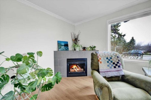 674 Regal Park Ne, Calgary, AB - Indoor With Fireplace