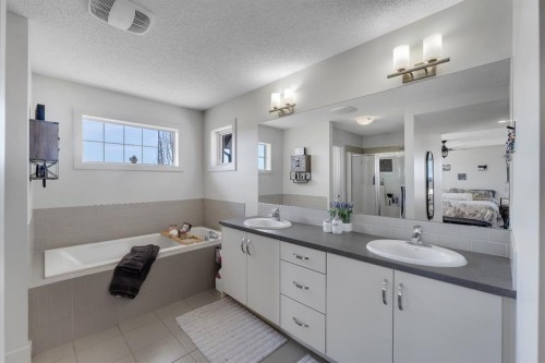 49 Marquis Grove Se, Calgary, AB - Indoor Photo Showing Bathroom