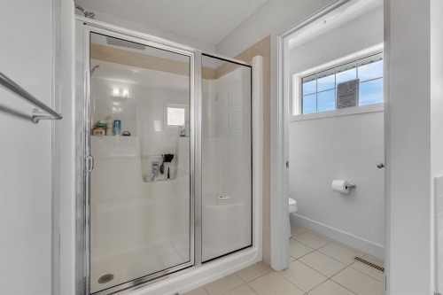 49 Marquis Grove Se, Calgary, AB - Indoor Photo Showing Bathroom