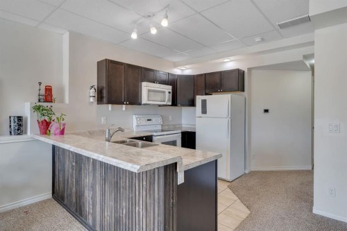 49 Marquis Grove Se, Calgary, AB - Indoor Photo Showing Kitchen With Double Sink