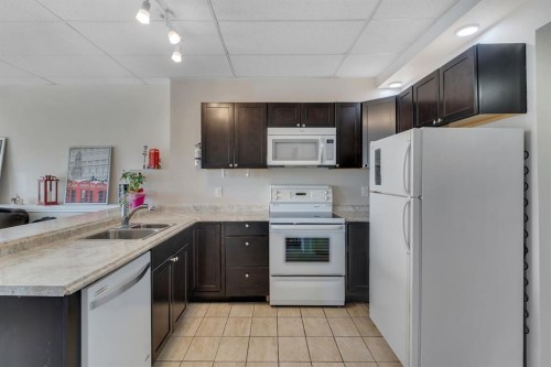 49 Marquis Grove Se, Calgary, AB - Indoor Photo Showing Kitchen With Double Sink