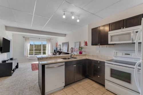 49 Marquis Grove Se, Calgary, AB - Indoor Photo Showing Kitchen With Double Sink
