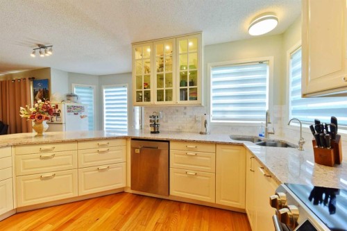 105 Coral Springs Close Ne, Calgary, AB - Indoor Photo Showing Kitchen With Double Sink With Upgraded Kitchen