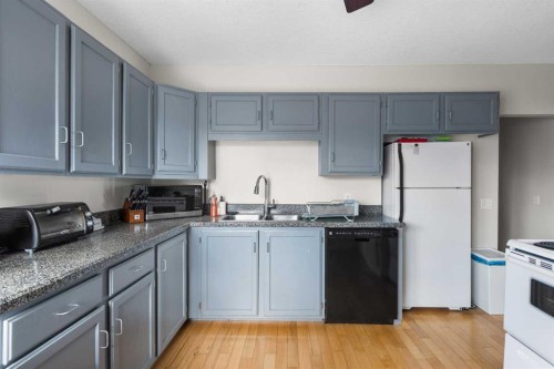 6619 18 Street Se, Calgary, AB - Indoor Photo Showing Kitchen With Double Sink