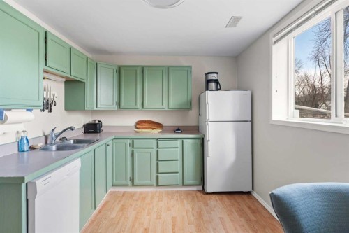 6619 18 Street Se, Calgary, AB - Indoor Photo Showing Kitchen With Double Sink