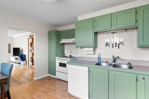 6619 18 Street Se, Calgary, AB - Indoor Photo Showing Kitchen With Double Sink