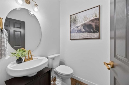 85 Boulder Creek Manor Se, Langdon, AB - Indoor Photo Showing Bathroom