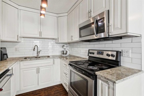 28 Templegreen Bay Ne, Calgary, AB - Indoor Photo Showing Kitchen With Stainless Steel Kitchen With Upgraded Kitchen