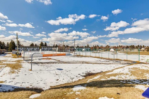 28 Templegreen Bay Ne, Calgary, AB - Outdoor With View