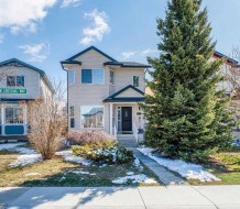 217 Martin Crossing Way NE Calgary, AB T3J 3V4