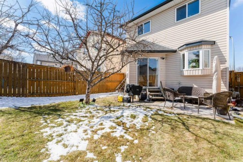 217 Martin Crossing Way Ne, Calgary, AB - Outdoor