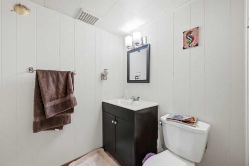 1012 Riddell Place Se, Calgary, AB - Indoor Photo Showing Bathroom