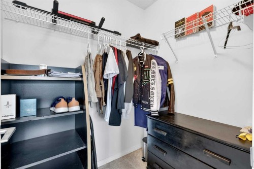 27 Copperpond Heights Se, Calgary, AB - Indoor With Storage