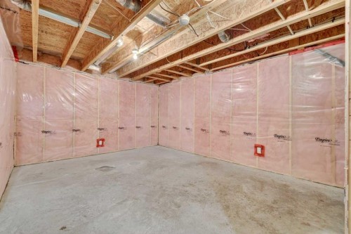 27 Copperpond Heights Se, Calgary, AB - Indoor Photo Showing Basement