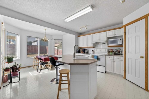 718 Coral Springs Boulevard Ne, Calgary, AB - Indoor Photo Showing Kitchen