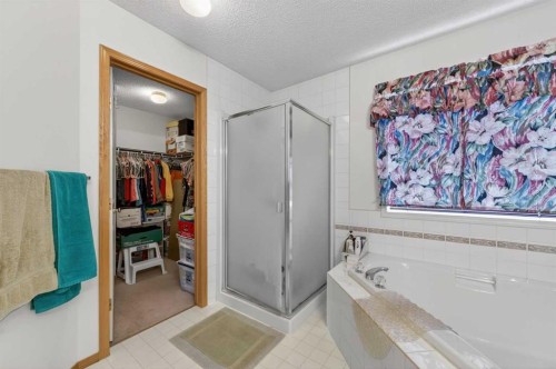 718 Coral Springs Boulevard Ne, Calgary, AB - Indoor Photo Showing Bathroom