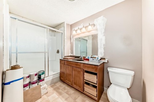 619 Maryvale Way Ne, Calgary, AB - Indoor Photo Showing Bathroom