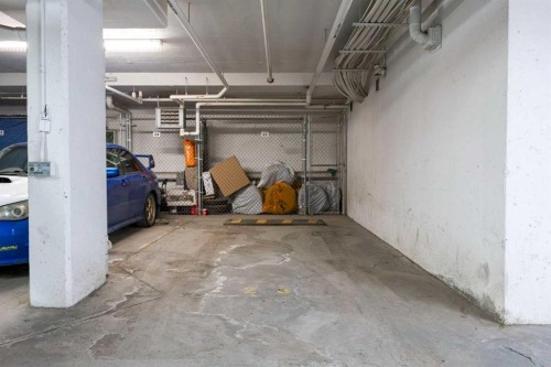 5209-155 Skyview Ranch Way Ne, Calgary, AB - Indoor Photo Showing Garage