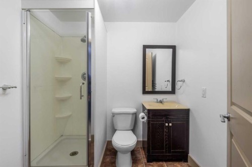 409 19 Avenue Ne, Calgary, AB - Indoor Photo Showing Bathroom