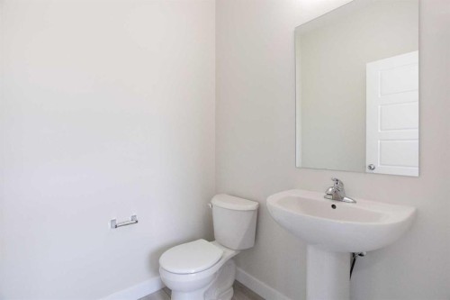 313 Cobblestone Gate Sw, Airdrie, AB - Indoor Photo Showing Bathroom