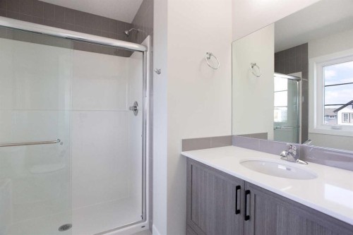 313 Cobblestone Gate Sw, Airdrie, AB - Indoor Photo Showing Bathroom
