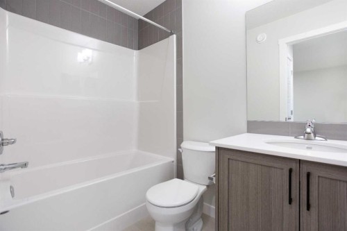 313 Cobblestone Gate Sw, Airdrie, AB - Indoor Photo Showing Bathroom