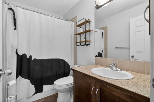 811 Boulder Creek Drive Se, Langdon, AB - Indoor Photo Showing Bathroom