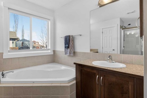 811 Boulder Creek Drive Se, Langdon, AB - Indoor Photo Showing Bathroom