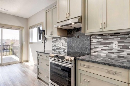 102 Speargrass Crescent, Carseland, AB - Indoor Photo Showing Kitchen With Upgraded Kitchen