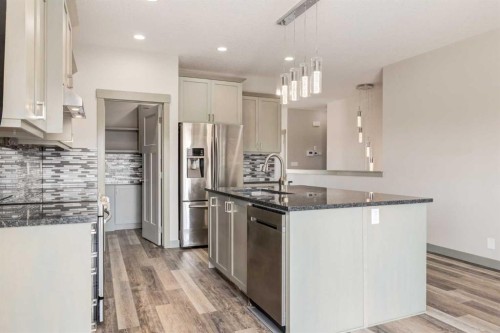 102 Speargrass Crescent, Carseland, AB - Indoor Photo Showing Kitchen With Upgraded Kitchen