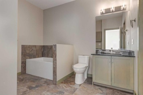 102 Speargrass Crescent, Carseland, AB - Indoor Photo Showing Bathroom