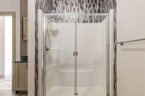 102 Speargrass Crescent, Carseland, AB - Indoor Photo Showing Bathroom